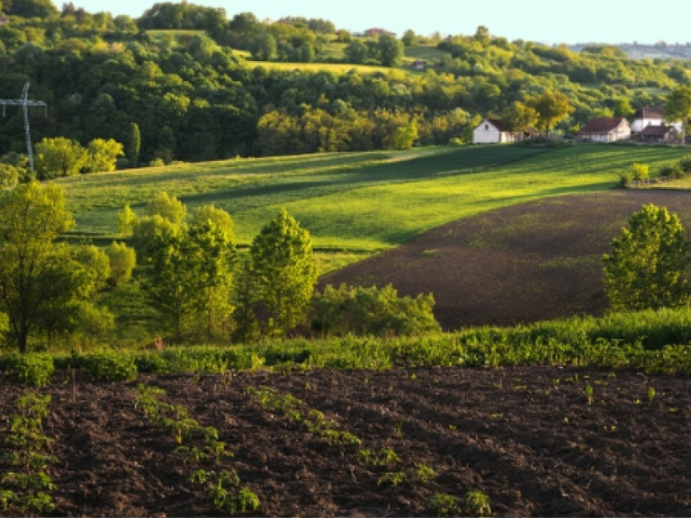  Plot for sale in Bangalore 